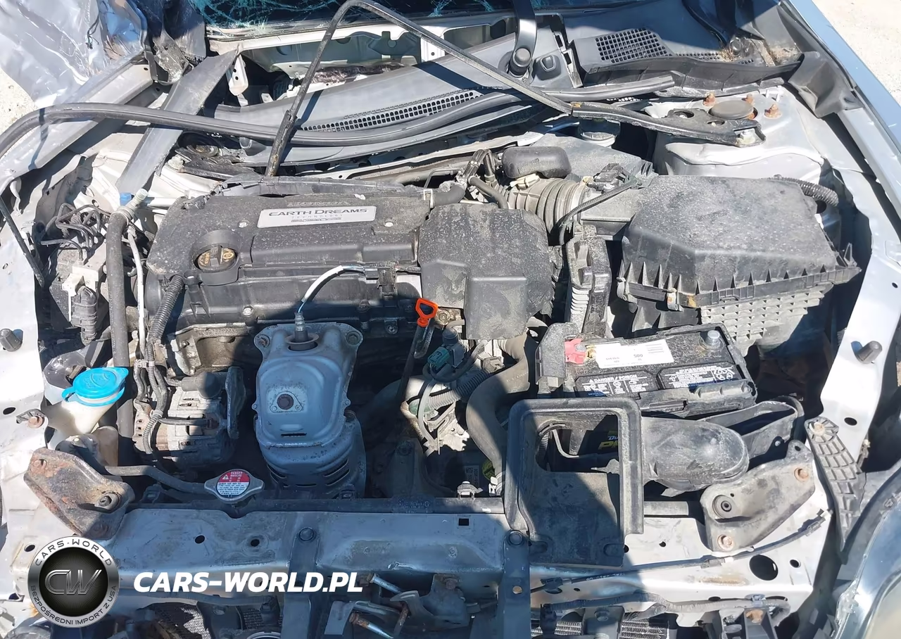 2013 Honda Accord Ex-L VIN:1HGCT1B83DA013906 - 10