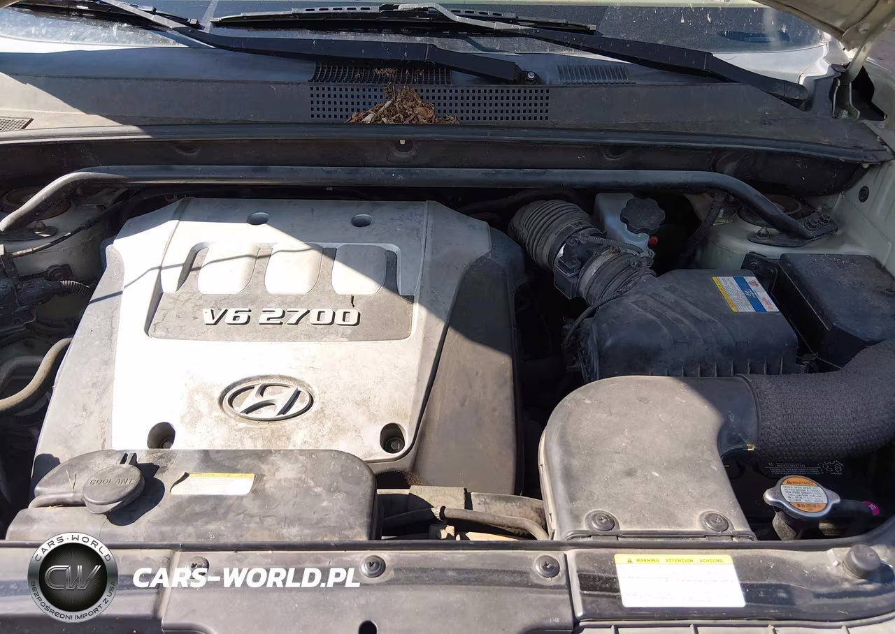 2006 Hyundai Tucson Gls-Limited VIN:KM8JN12D26U451231 - 10