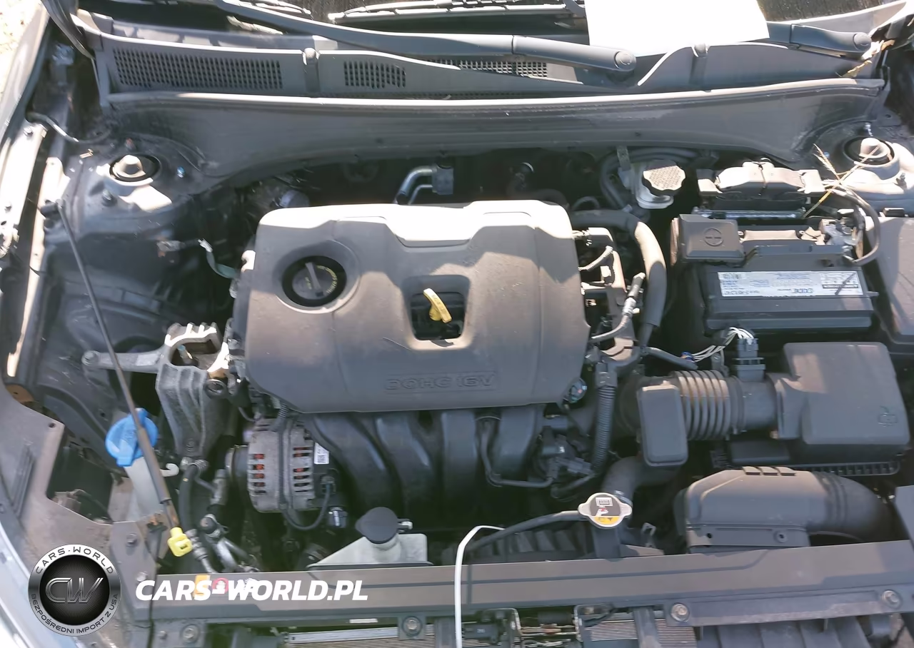 2020 Kia Forte Lxs VIN:3KPF24AD9LE253715 - 10