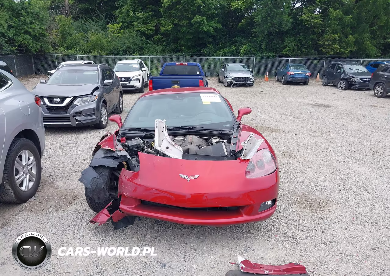 2005 Chevrolet Corvette VIN:1G1YY24U955109998 - 13