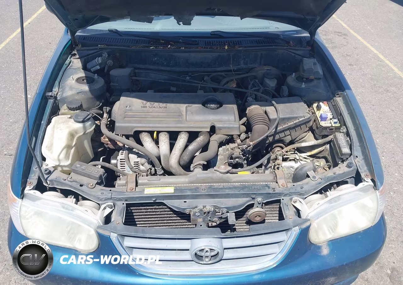 2002 Toyota Corolla Le VIN:1NXBR12E92Z577419 - 10