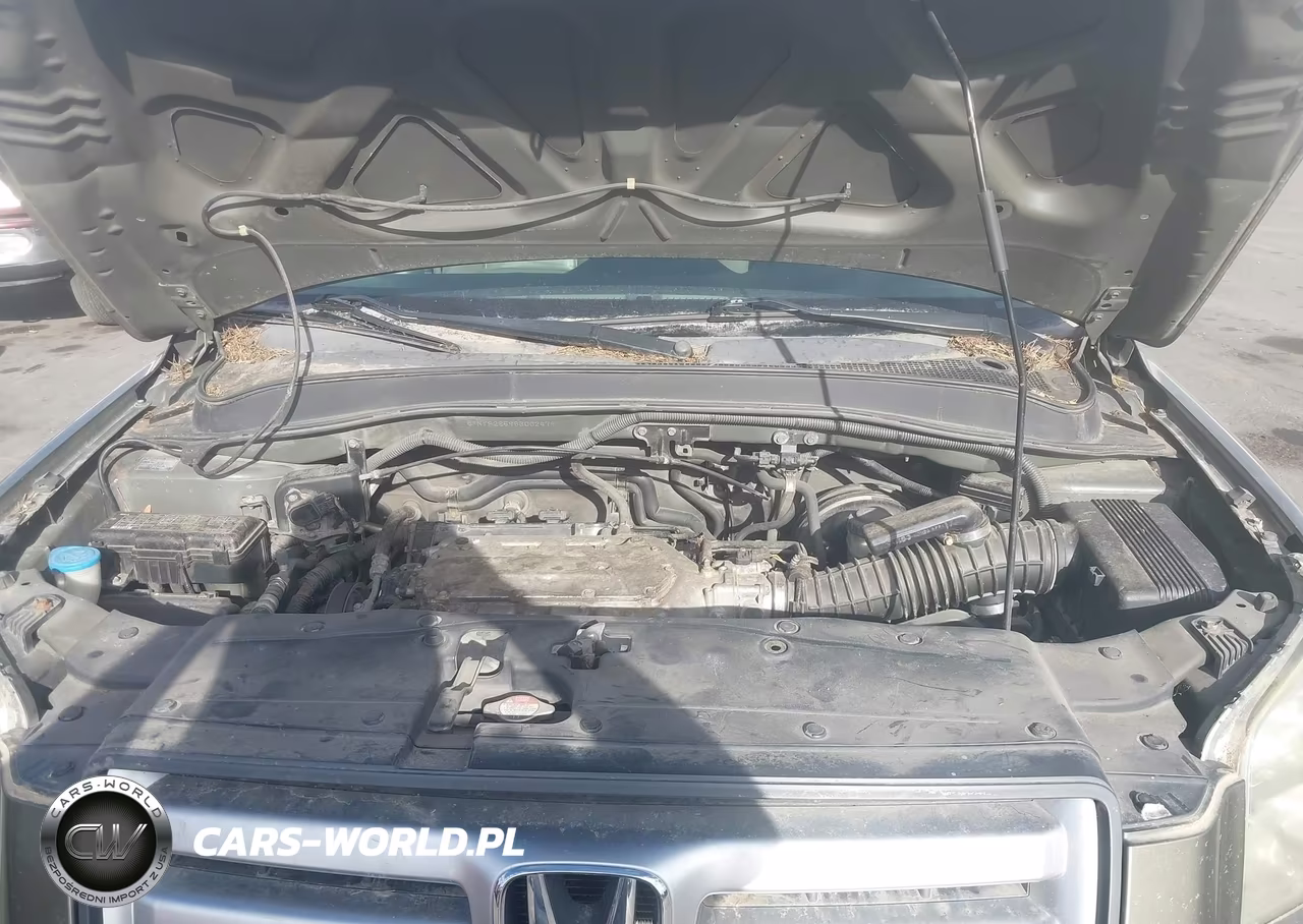 2006 Honda Pilot Ex-L VIN:5FNYF28596B002479 - 10