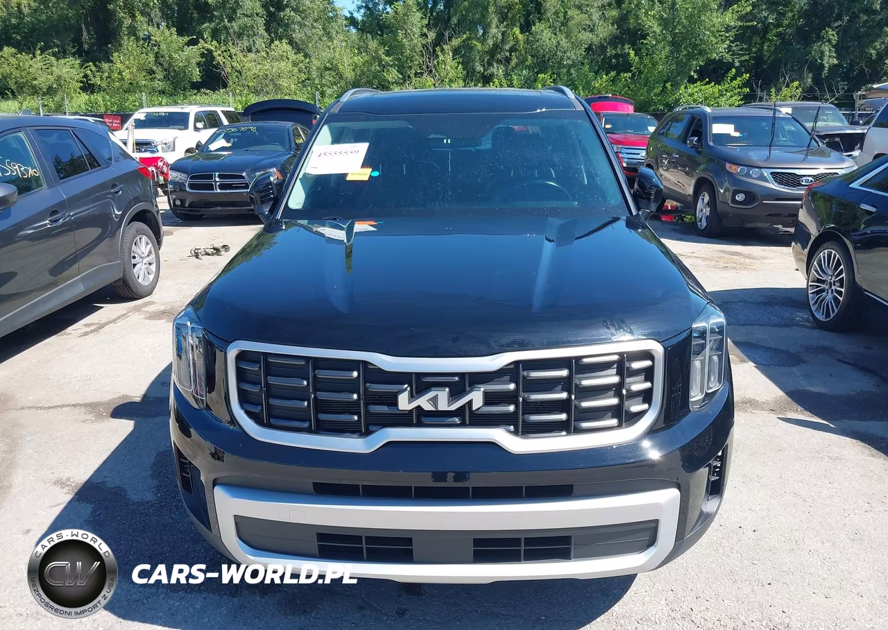 2024 Kia Telluride S VIN:5XYP6DGC1RG559911 - 13