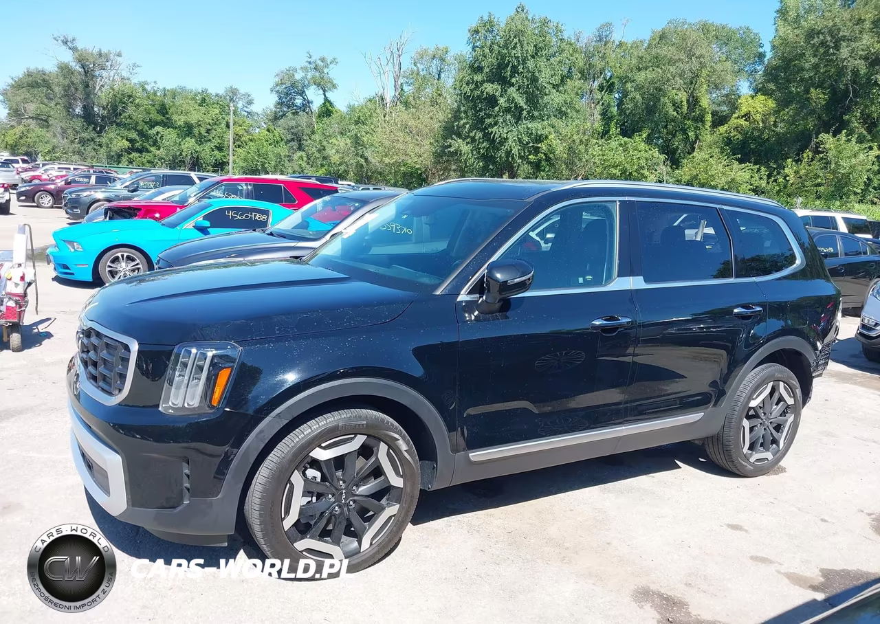 2024 Kia Telluride S VIN:5XYP6DGC1RG559911 - 15