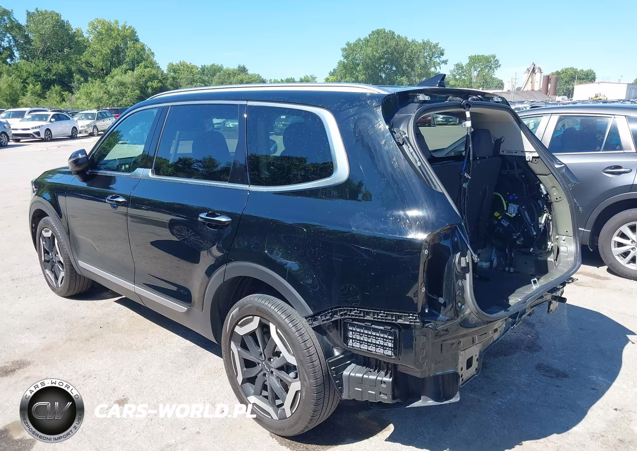 2024 Kia Telluride S VIN:5XYP6DGC1RG559911 - 3