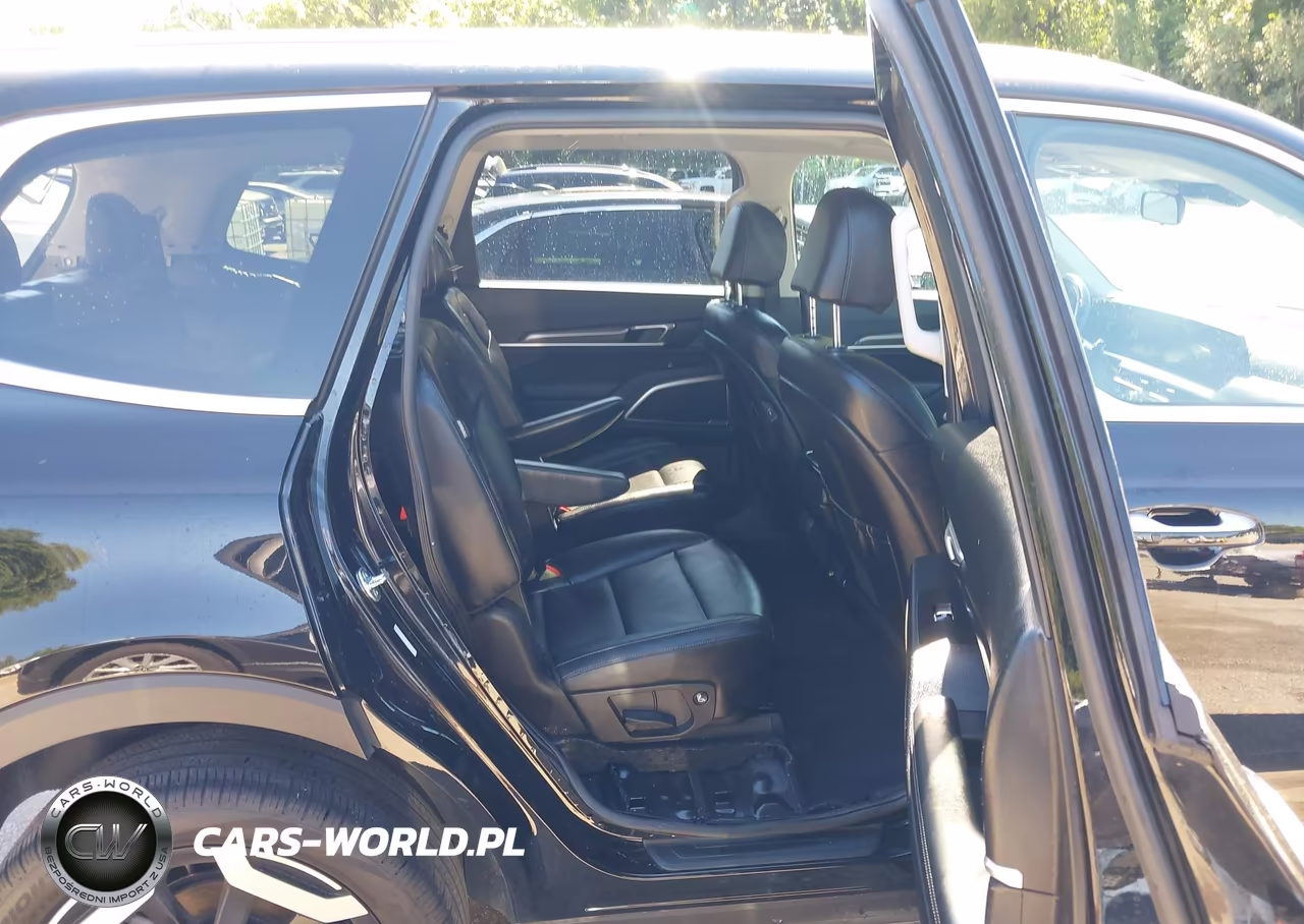 2024 Kia Telluride S VIN:5XYP6DGC1RG559911 - 8
