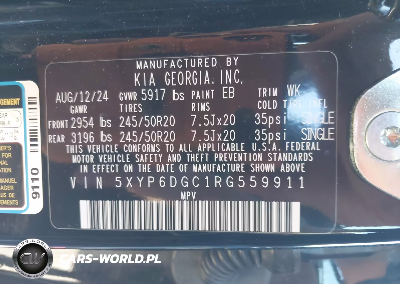 2024 Kia Telluride S VIN:5XYP6DGC1RG559911 - 9