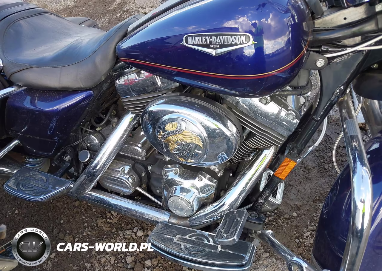 1999 Harley-Davidson Flhrci VIN:1HD1FRW18XY645738 - 8
