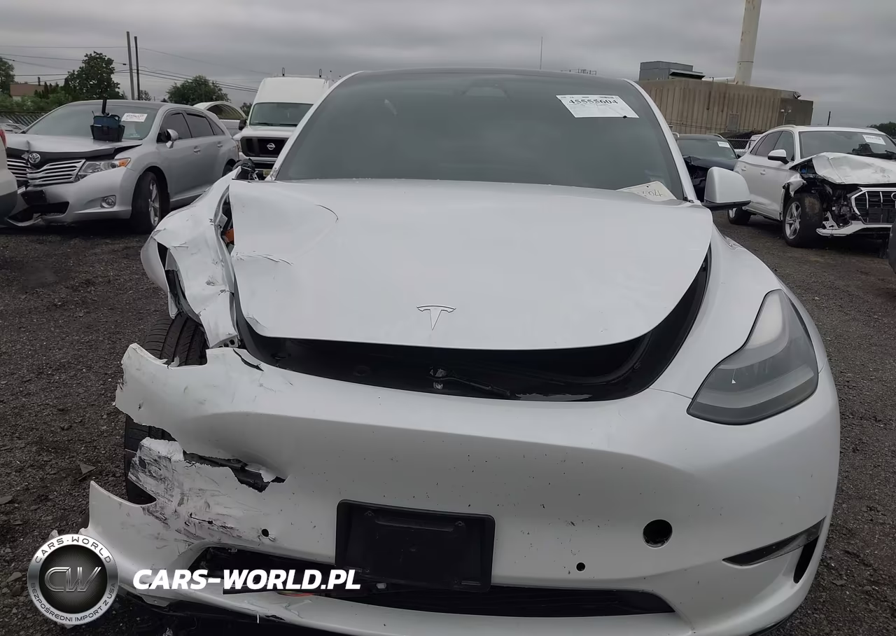 2022 Tesla Model Y Performance Dual Motor All-Wheel Drive VIN:7SAYGDEF1NF540956 - 11