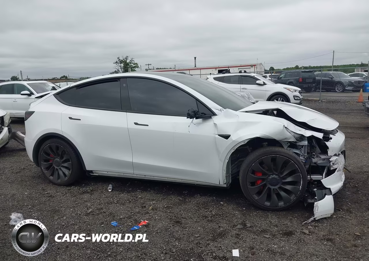 2022 Tesla Model Y Performance Dual Motor All-Wheel Drive VIN:7SAYGDEF1NF540956 - 12