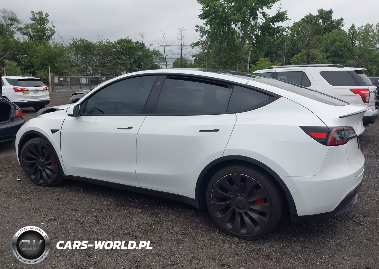 2022 Tesla Model Y Performance Dual Motor All-Wheel Drive VIN:7SAYGDEF1NF540956 - 13