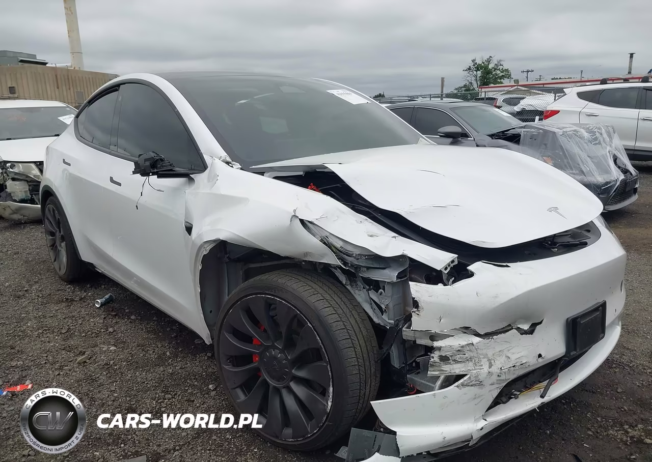 2022 Tesla Model Y Performance Dual Motor All-Wheel Drive VIN:7SAYGDEF1NF540956 - 6