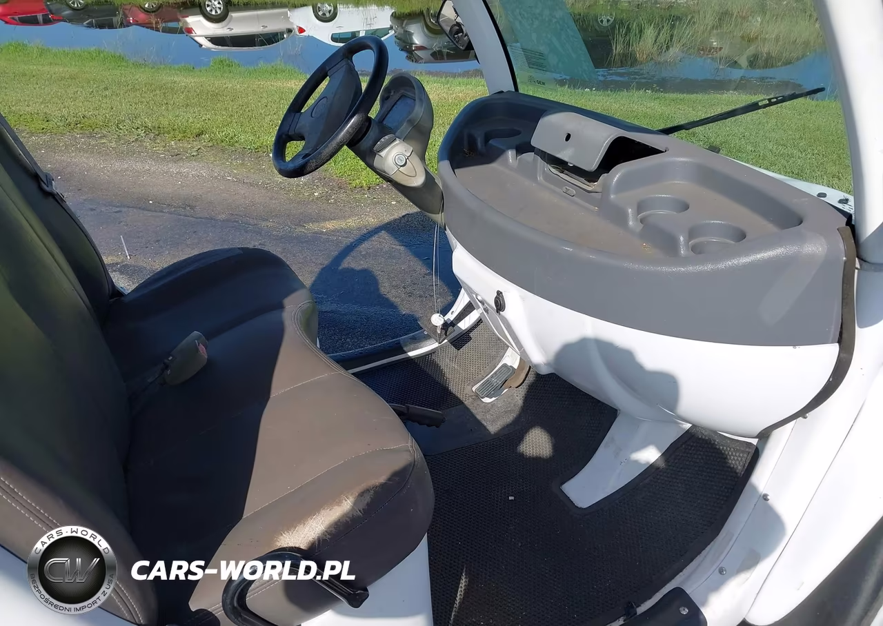 2010 Global Electric Motors E2 VIN:5ASGPGA49AF051849 - 5