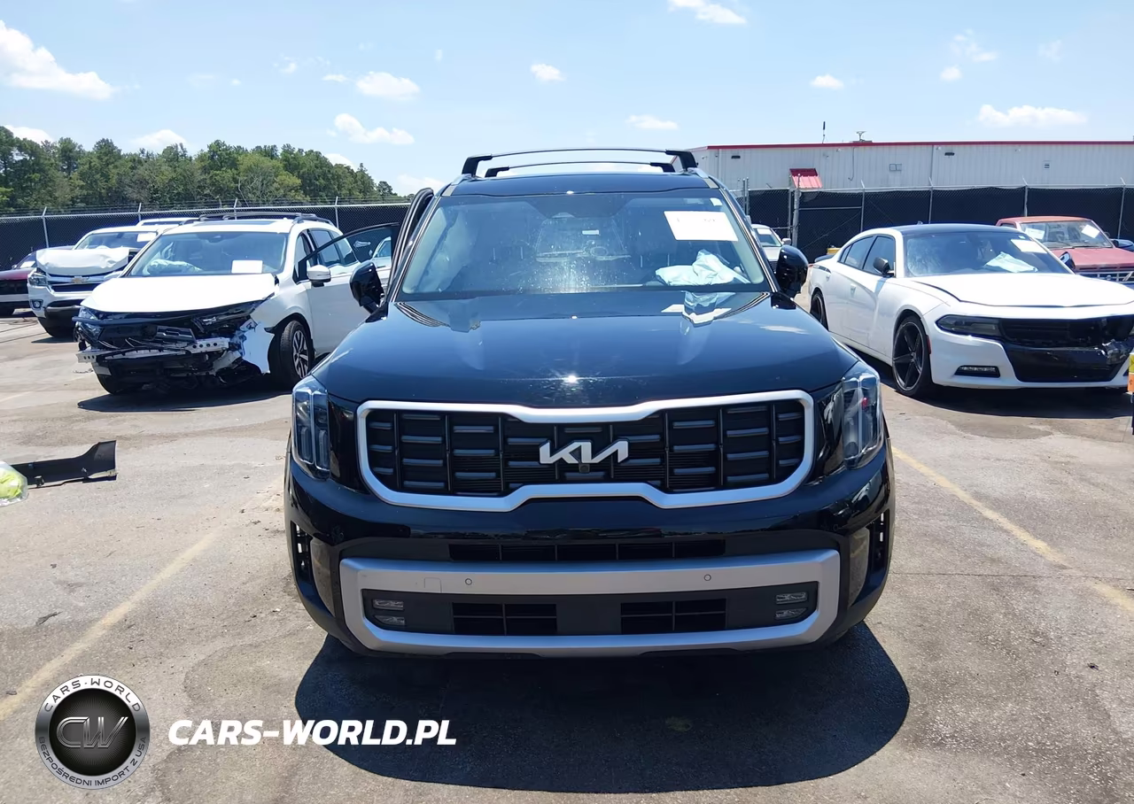 2024 Kia Telluride Sx VIN:5XYP54GC6RG432011 - 13
