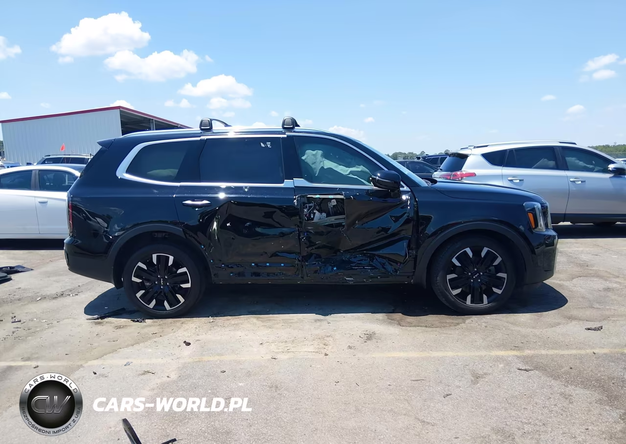 2024 Kia Telluride Sx VIN:5XYP54GC6RG432011 - 14
