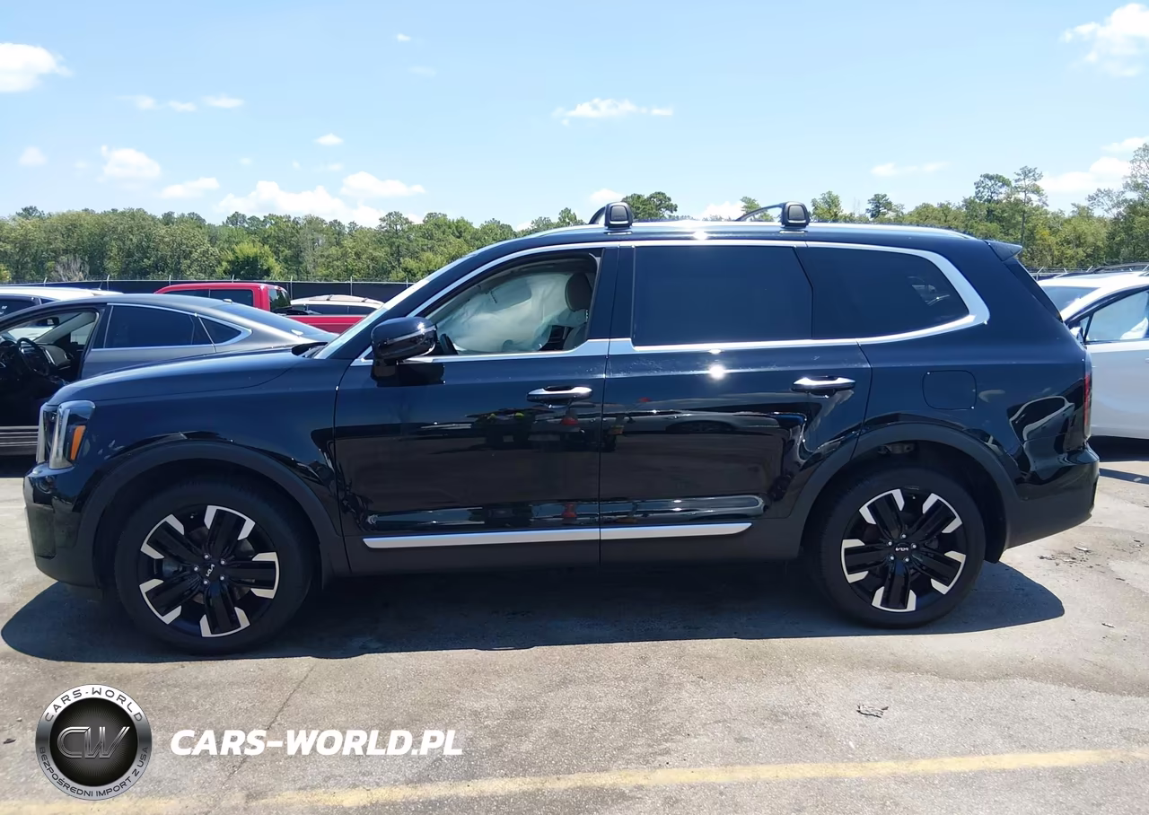 2024 Kia Telluride Sx VIN:5XYP54GC6RG432011 - 15