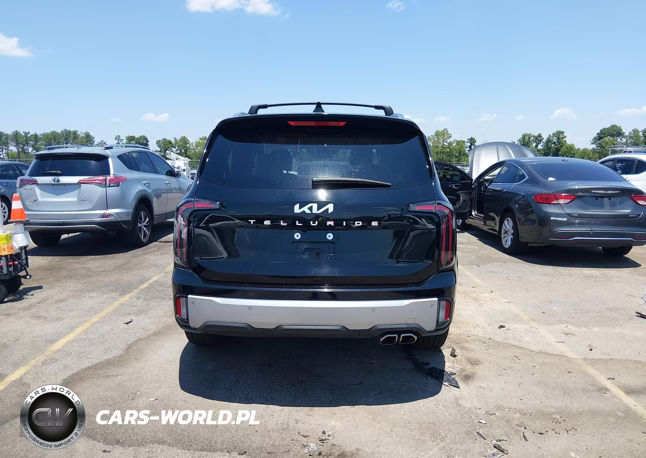 2024 Kia Telluride Sx VIN:5XYP54GC6RG432011 - 17