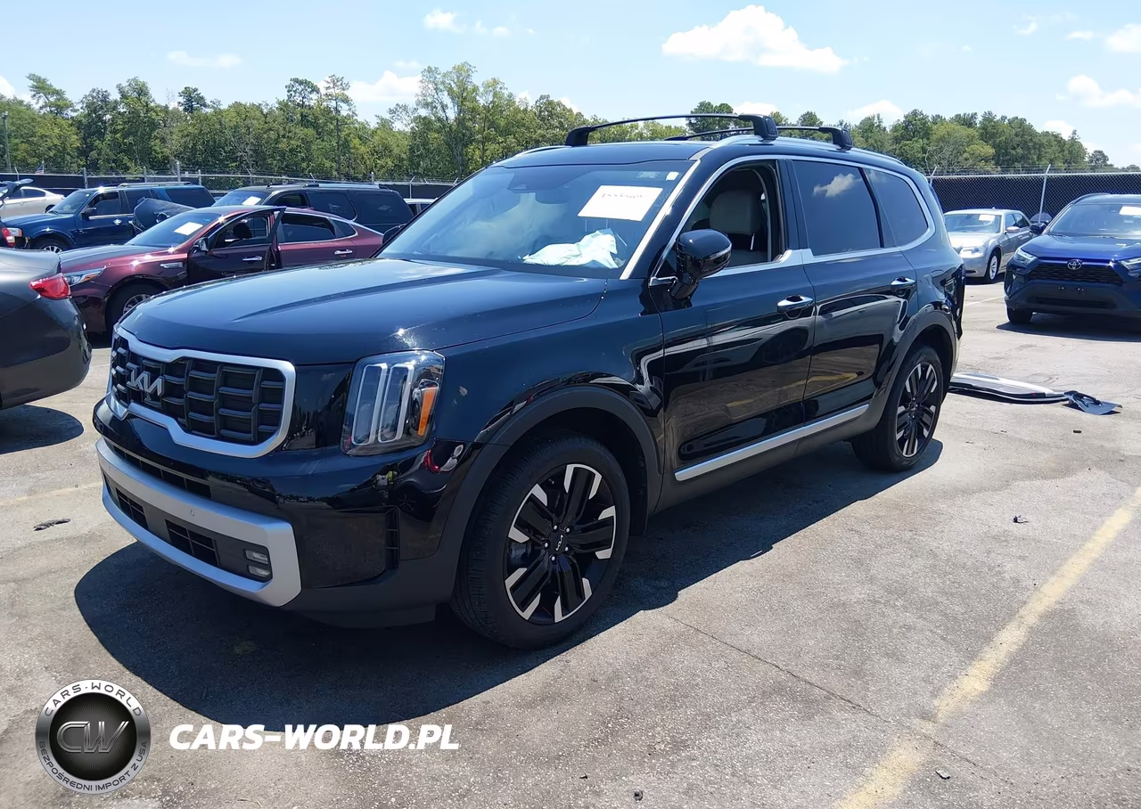 2024 Kia Telluride Sx VIN:5XYP54GC6RG432011 - 2