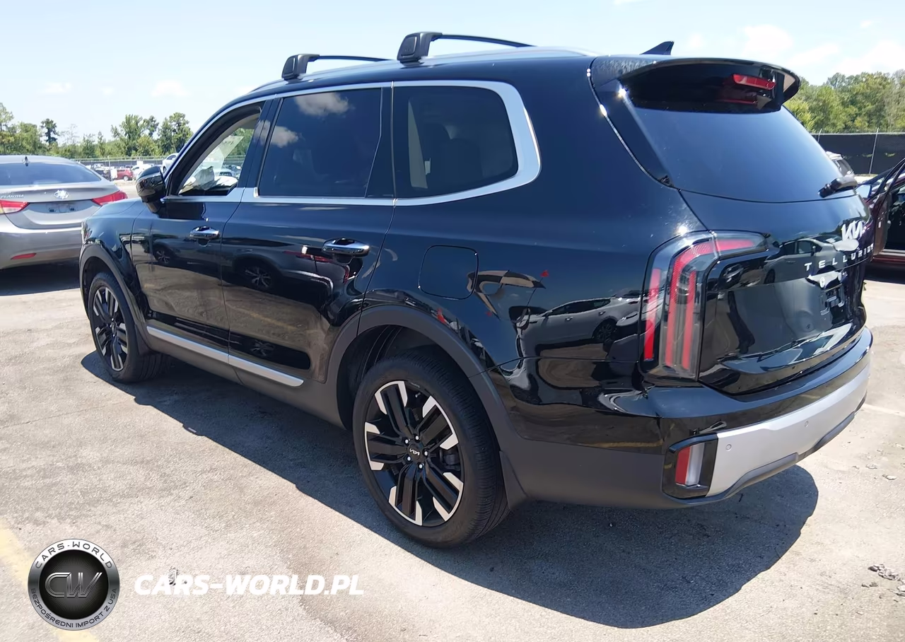 2024 Kia Telluride Sx VIN:5XYP54GC6RG432011 - 3