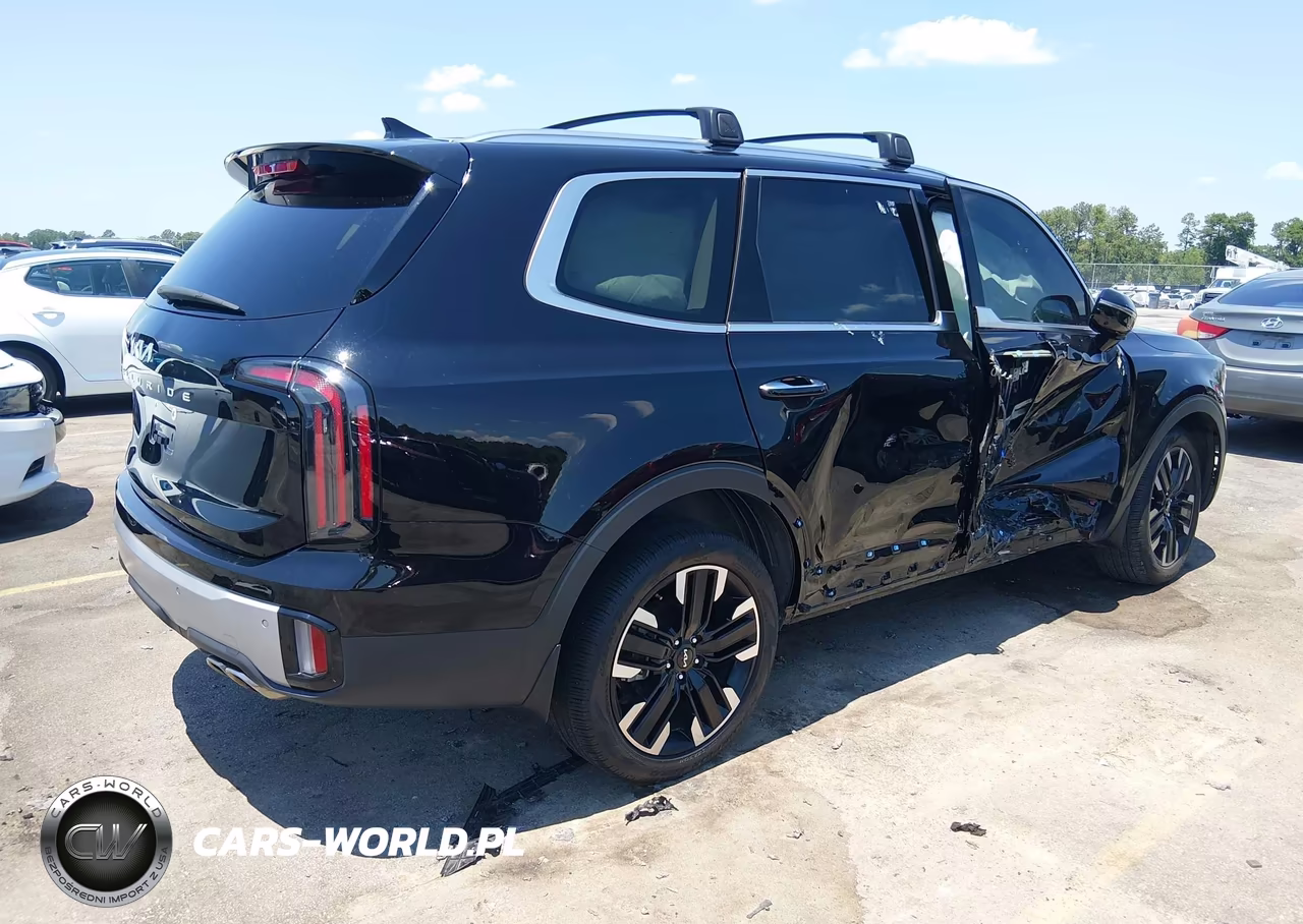 2024 Kia Telluride Sx VIN:5XYP54GC6RG432011 - 4