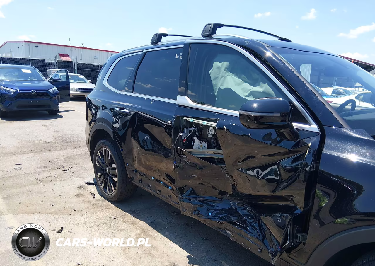 2024 Kia Telluride Sx VIN:5XYP54GC6RG432011 - 6