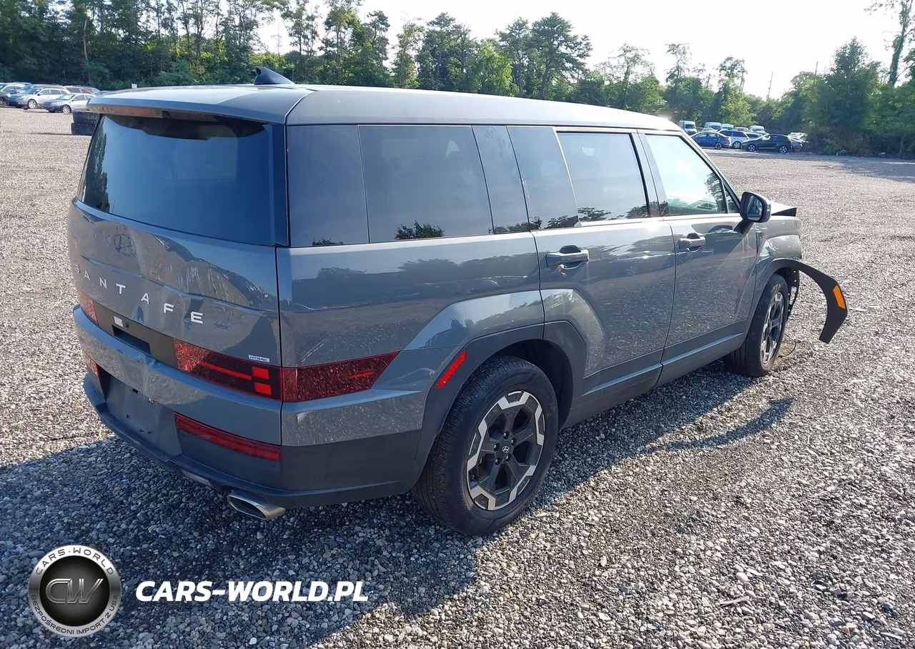 2025 Hyundai Santa Fe Se VIN:5NMP1DGL0SH073388 - 4