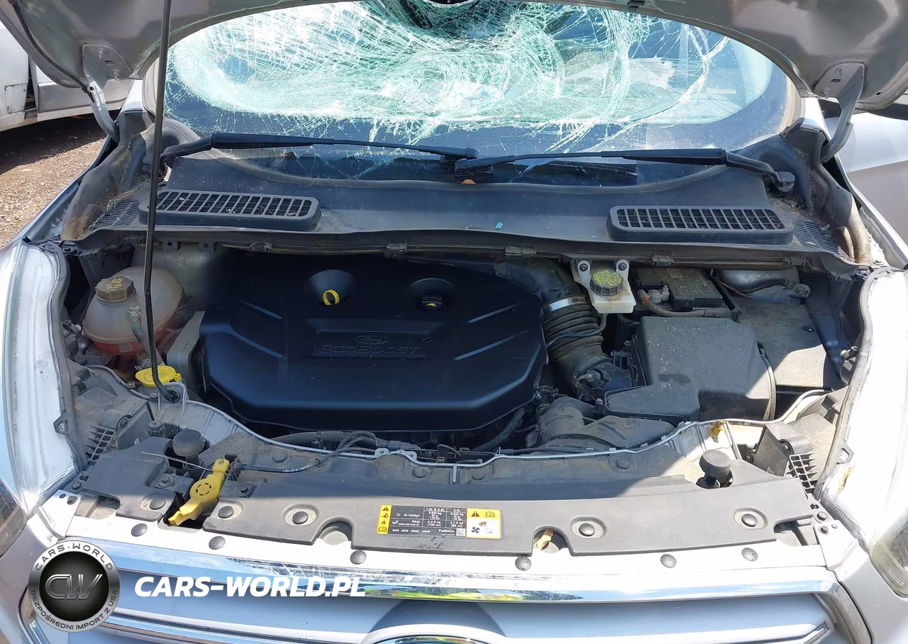 2019 Ford Escape Titanium VIN:1FMCU0J94KUC31800 - 10