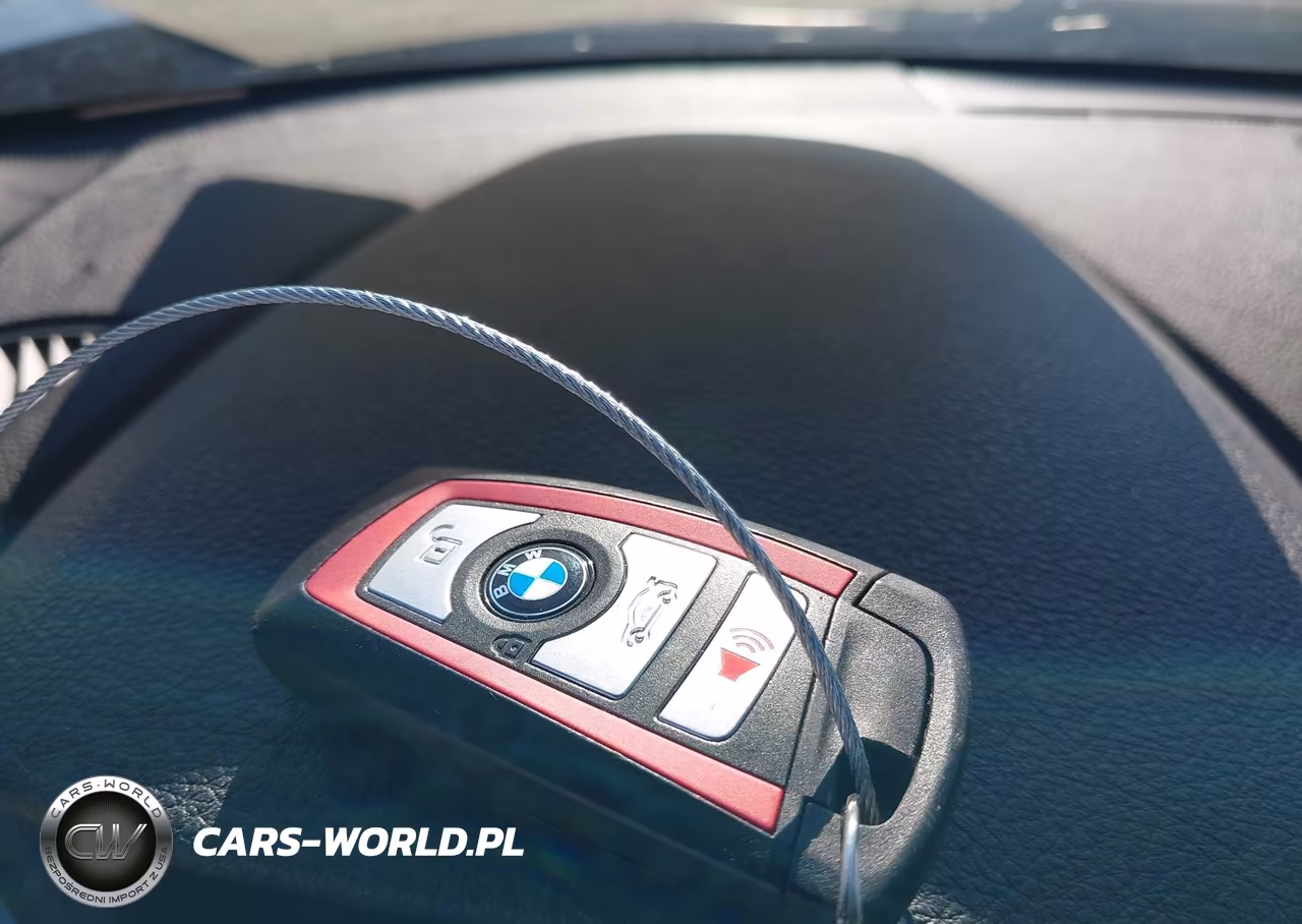 2017 BMW 230I xDrive VIN:WBA2M9C51HV717351 - 11
