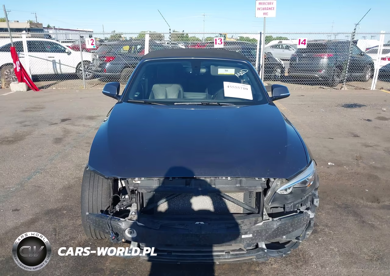 2017 BMW 230I xDrive VIN:WBA2M9C51HV717351 - 12