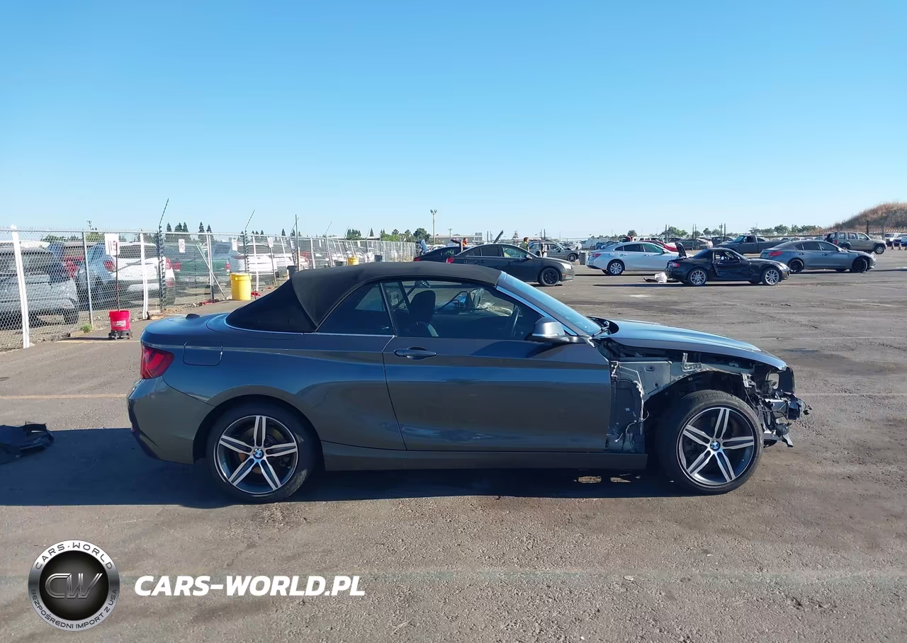 2017 BMW 230I xDrive VIN:WBA2M9C51HV717351 - 13