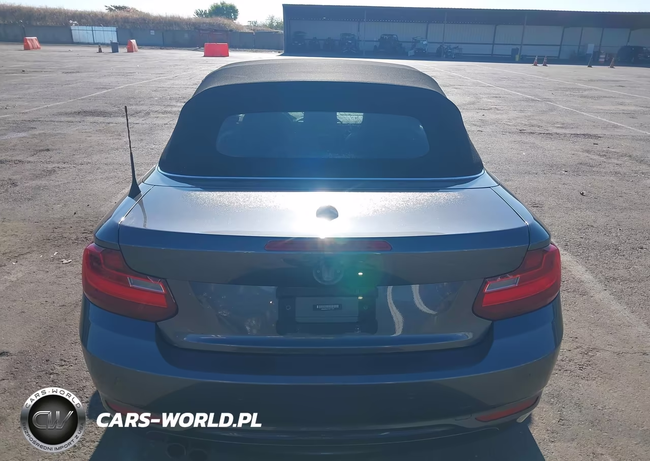 2017 BMW 230I xDrive VIN:WBA2M9C51HV717351 - 16