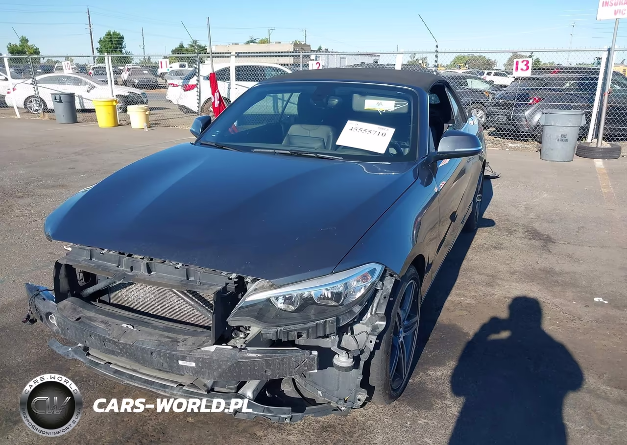 2017 BMW 230I xDrive VIN:WBA2M9C51HV717351 - 2