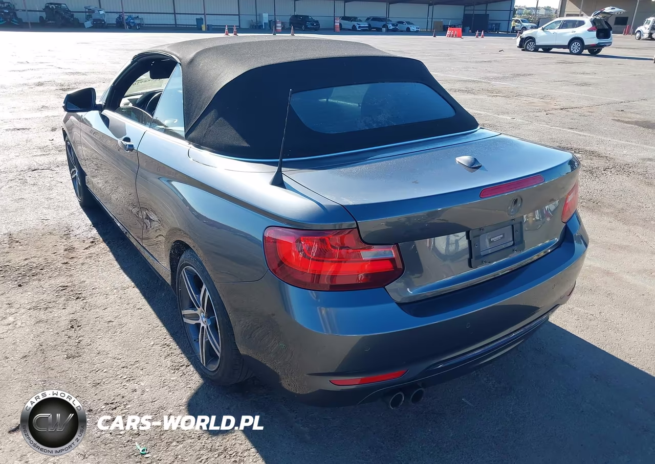 2017 BMW 230I xDrive VIN:WBA2M9C51HV717351 - 3
