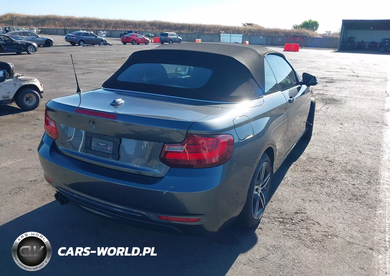 2017 BMW 230I xDrive VIN:WBA2M9C51HV717351 - 4