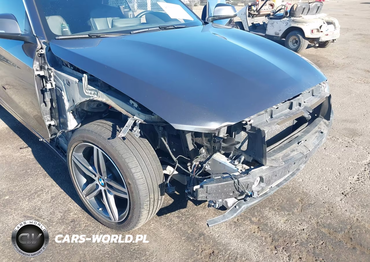 2017 BMW 230I xDrive VIN:WBA2M9C51HV717351 - 6