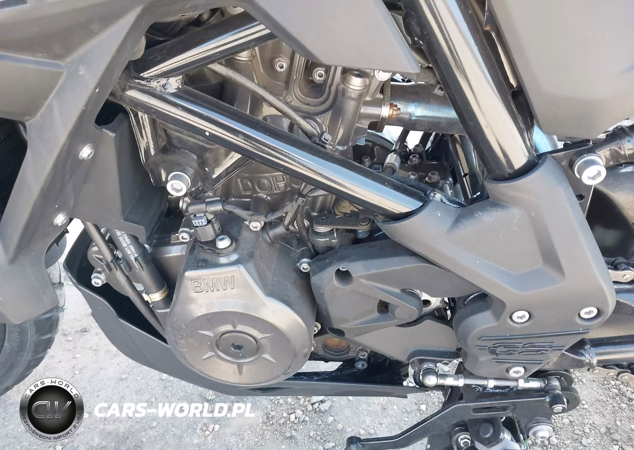 2023 BMW G310 Gs VIN:WB30G330XPRA56632 - 9