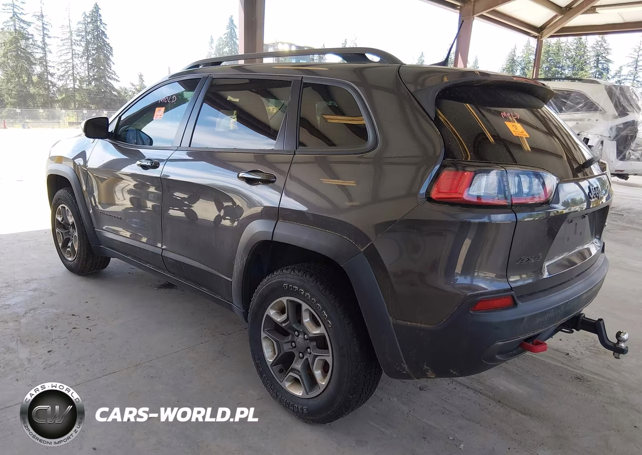2019 Jeep Cherokee Trailhawk 4X4 VIN:1C4PJMBN0KD169068 - 3