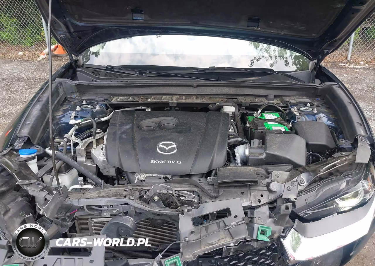 2021 Mazda Cx-30 Premium VIN:3MVDMBDL3MM316516 - 10