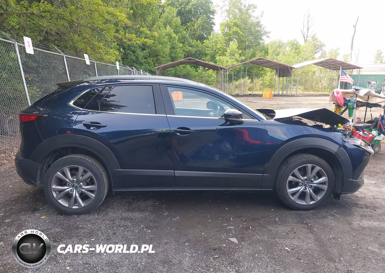 2021 Mazda Cx-30 Premium VIN:3MVDMBDL3MM316516 - 13