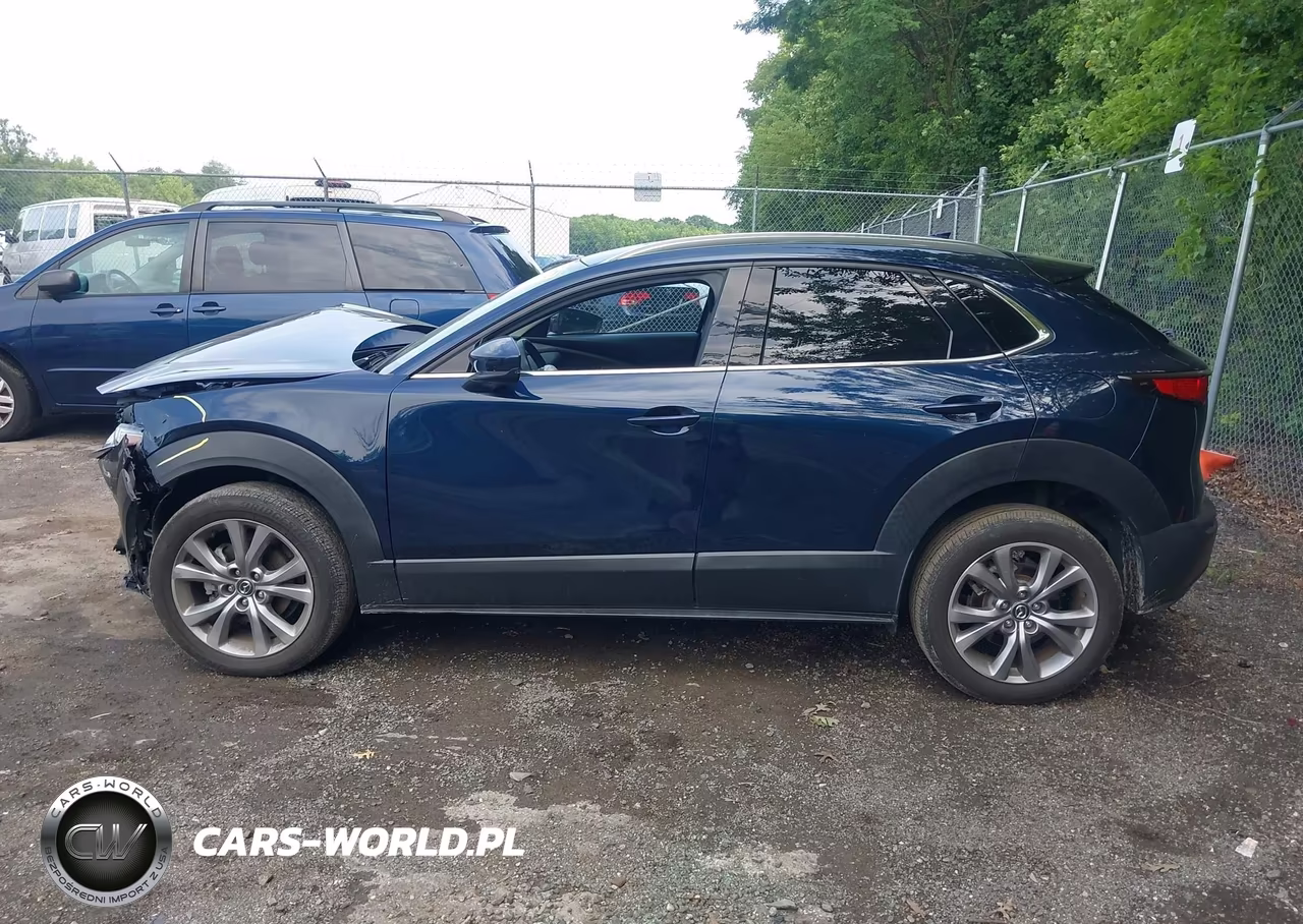 2021 Mazda Cx-30 Premium VIN:3MVDMBDL3MM316516 - 14