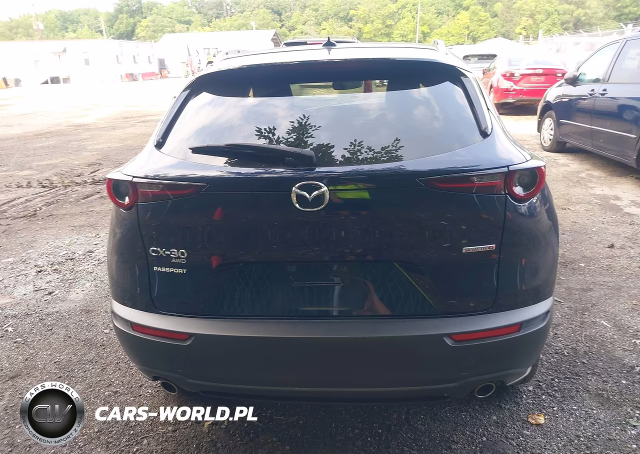 2021 Mazda Cx-30 Premium VIN:3MVDMBDL3MM316516 - 16