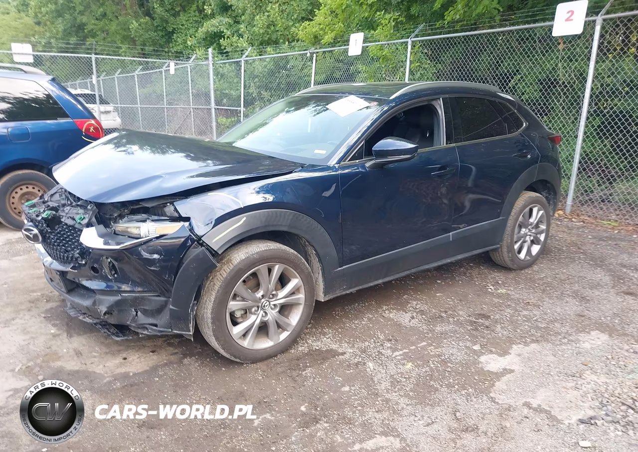 2021 Mazda Cx-30 Premium VIN:3MVDMBDL3MM316516 - 2