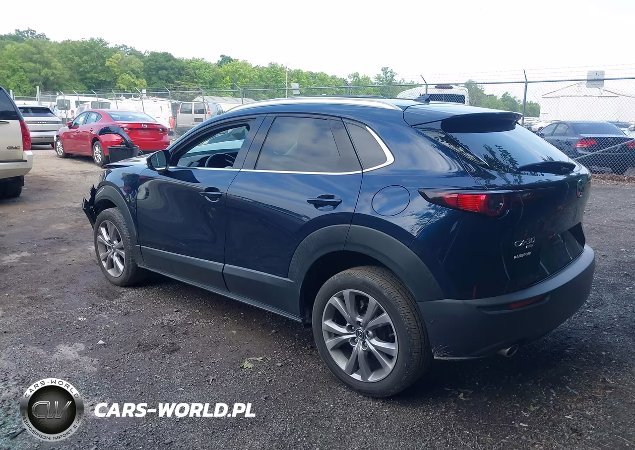2021 Mazda Cx-30 Premium VIN:3MVDMBDL3MM316516 - 3