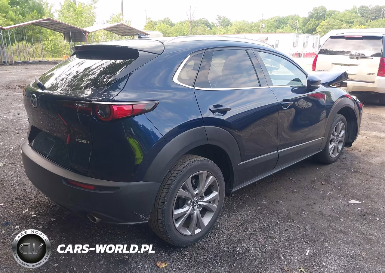 2021 Mazda Cx-30 Premium VIN:3MVDMBDL3MM316516 - 4