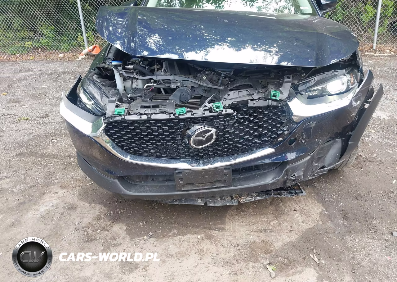 2021 Mazda Cx-30 Premium VIN:3MVDMBDL3MM316516 - 6