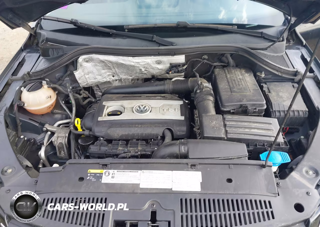 2016 Volkswagen Tiguan S VIN:WVGBV7AX4GW612204 - 10