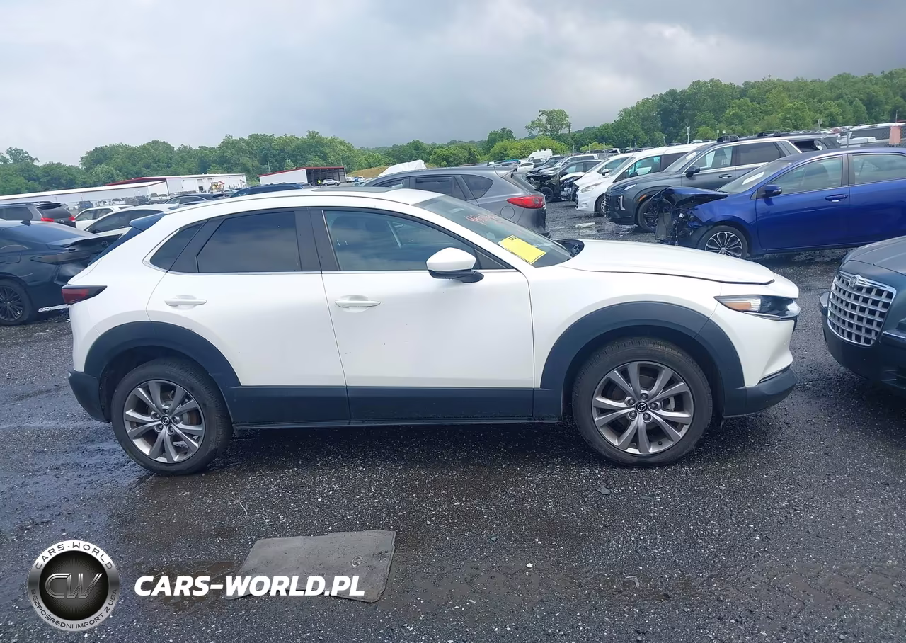 2021 Mazda Cx-30 Preferred VIN:3MVDMBCL8MM258985 - 13