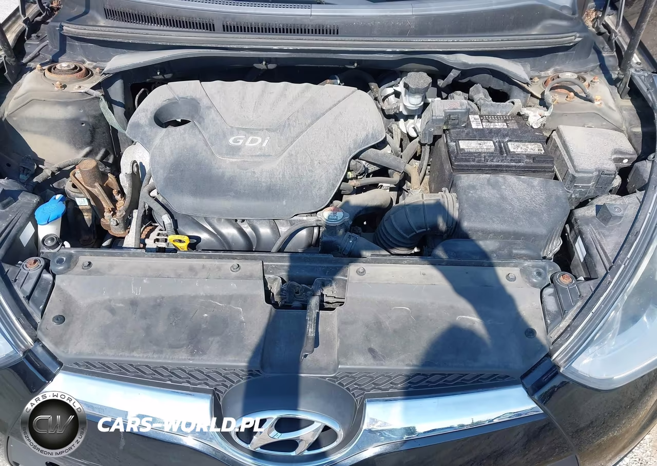 2013 Hyundai Veloster Base W-Gray VIN:KMHTC6ADXDU175889 - 10