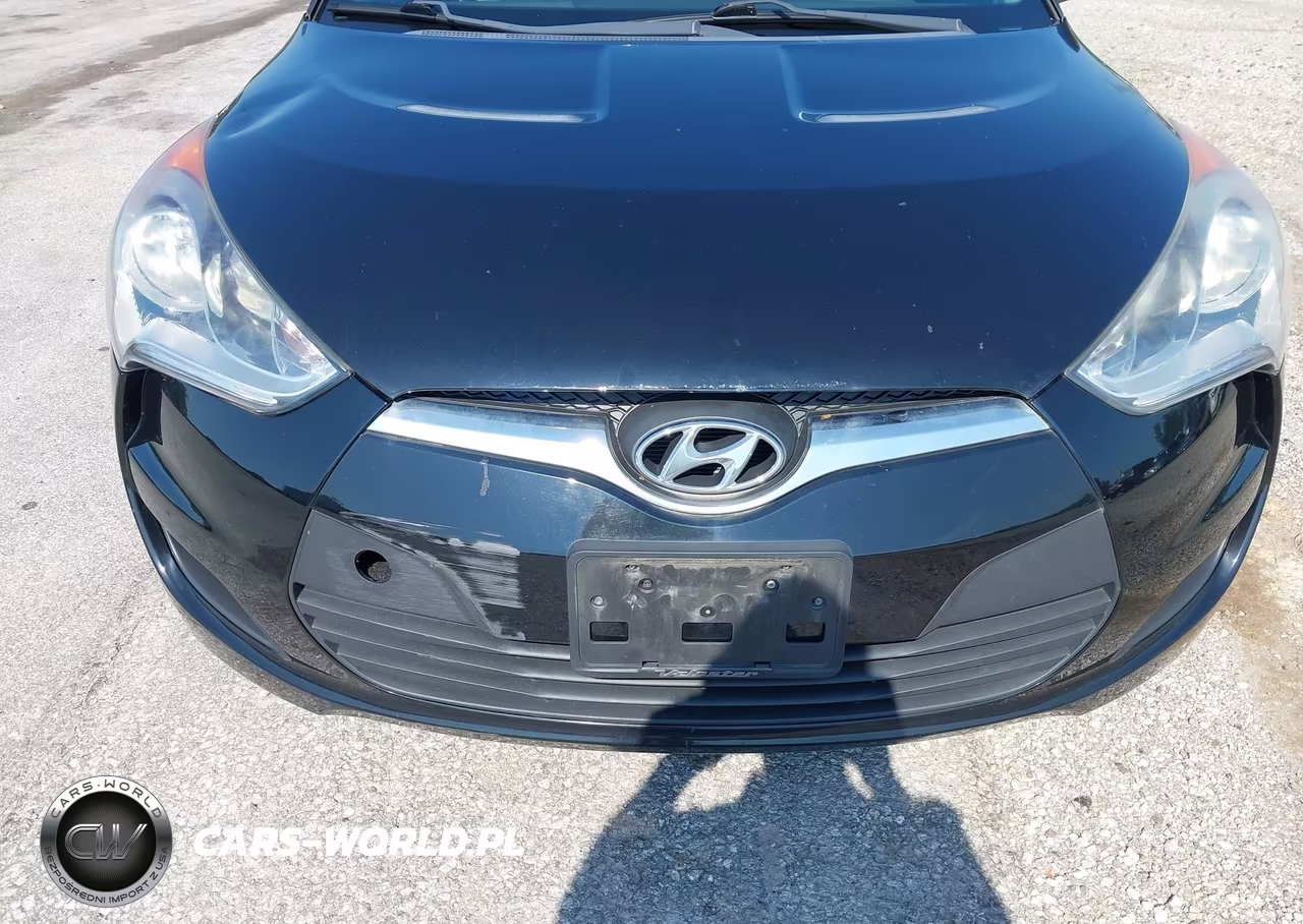 2013 Hyundai Veloster Base W-Gray VIN:KMHTC6ADXDU175889 - 14