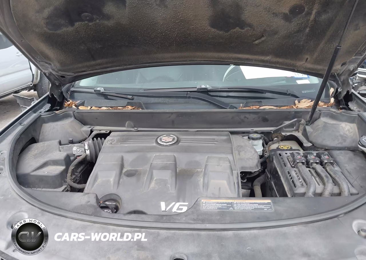 2015 Cadillac Srx Standard VIN:3GYFNAE35FS510022 - 10